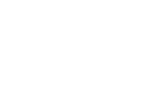 Gi.Mor. Group