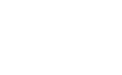 GRN Consulting